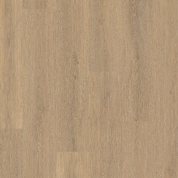 TFD Nature Dryback 214-10