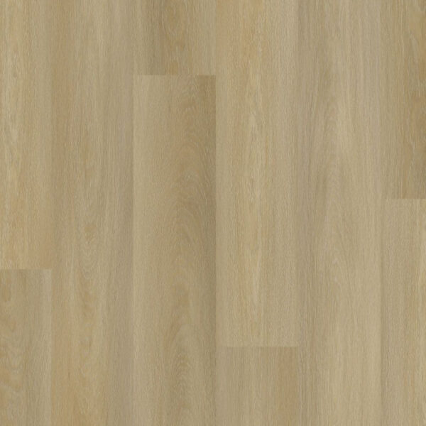 TFD Nature Dryback 237-1