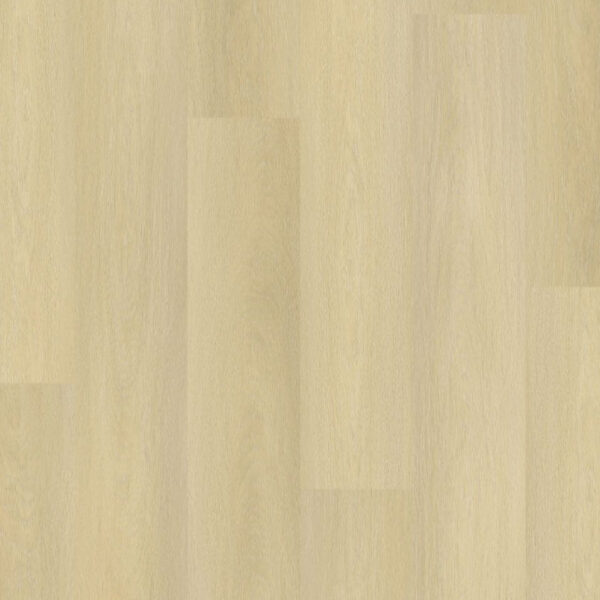 TFD Nature Dryback 237-6
