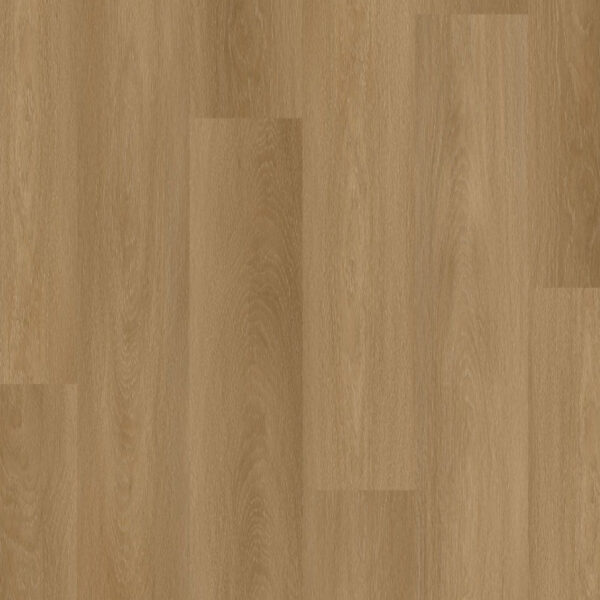 TFD Nature Dryback 237-7