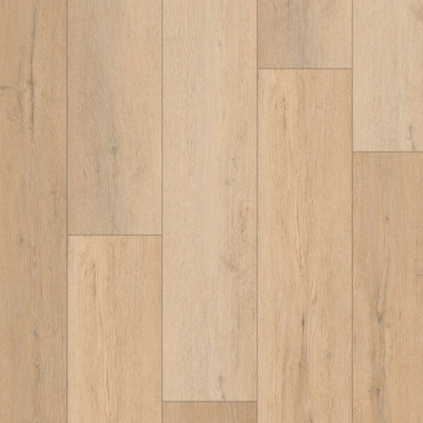 TFD Nature Dryback 281-1