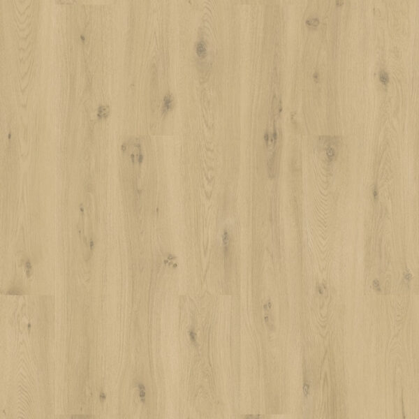 Quick Step Flex Glue Plus Liv Ocean Bliss Naturel