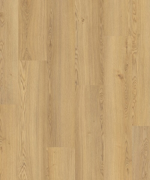 Beautifloor laminaat Antwerpen Hydroshield Millegem