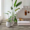 Alpha Illume Click Plus Gewolkt Beton AVMTU40273 - Afbeelding 5