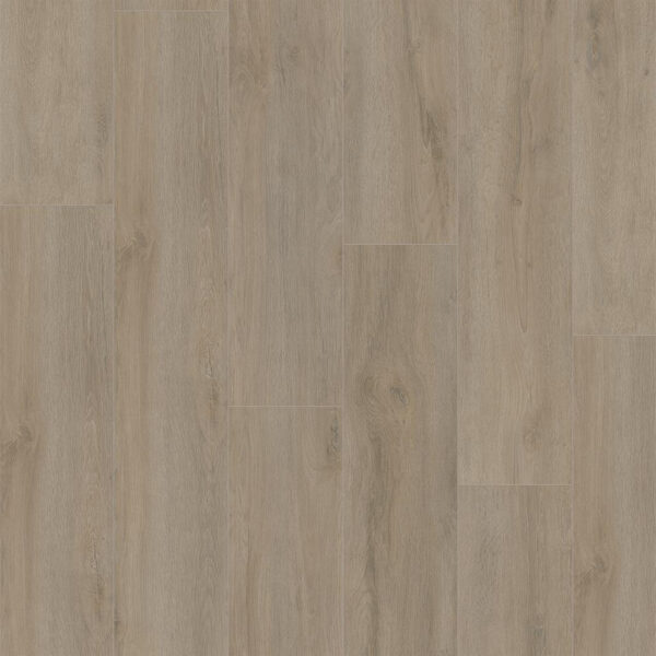 Ambiant Prestige Oak Grijsbruin Eiken