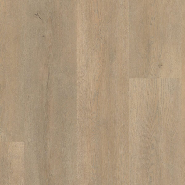 Palazzo PVC Rigid Click 710