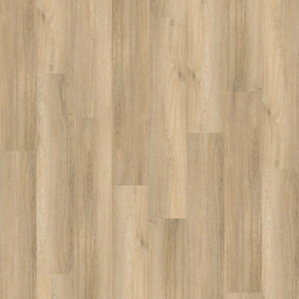 Avanto Click SRC Beige