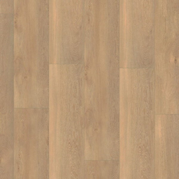 Ambiant laminaat Saarland Collection Beige Eiken