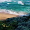 RM Long Island Herringbone Long Beach Sand - Afbeelding 2