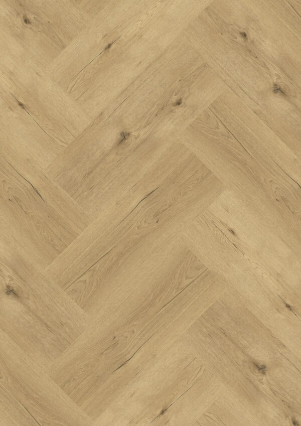 Natural Life Visgraat XL Dryback Dent de Nendaz NL302