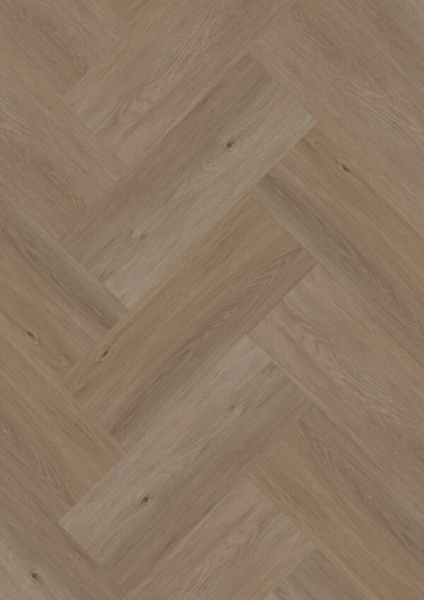 Natural Life Visgraat XL Dent de Perroc NL304