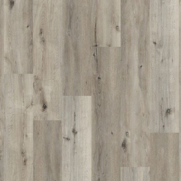 Essenzo SRC Smoky