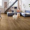 Solcora Silence River Oak Danube 56022 - Afbeelding 2