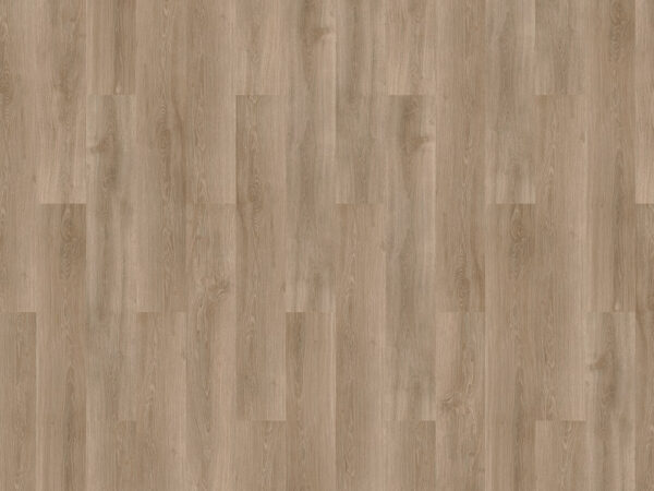 Solcora Silence River Oak Douro 56025