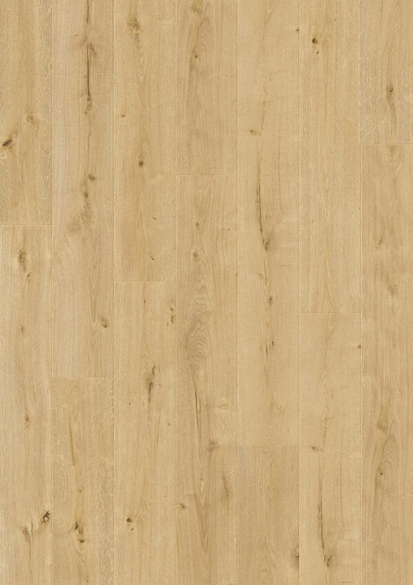 Beautifloor laminaat Jackson Hydroshield Traceway