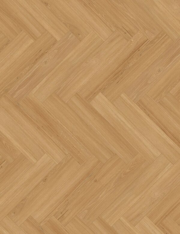 Cycle 555 Visgraat Dryback Incredible Light Oak 5380