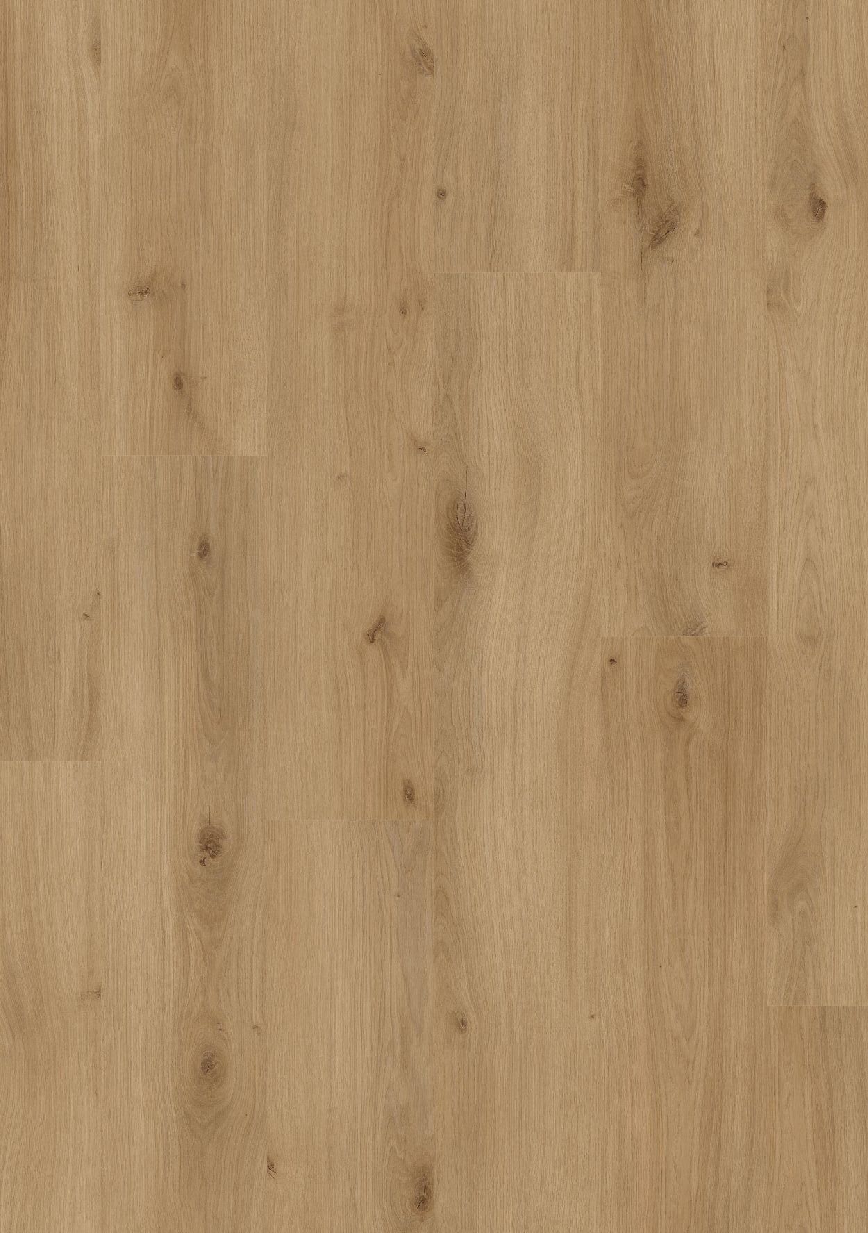 Beautifloor laminaat West-Vlaanderen Krombeke