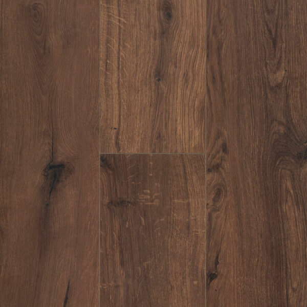 Ocean+ 8 XL V4 Bloom Gyant Warm Brown