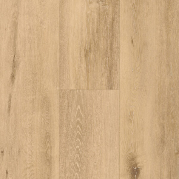 Spirit Soul Rigid Click 55 Plank Allegra