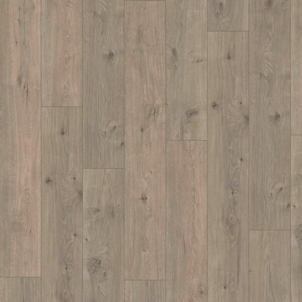 Madison City 431 NP 4833 Oak Shadow