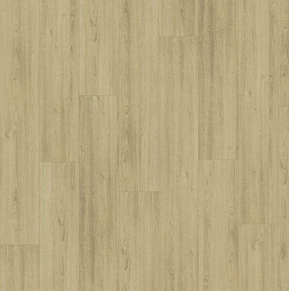 Madison City 431 NP 4842 Oak Mild