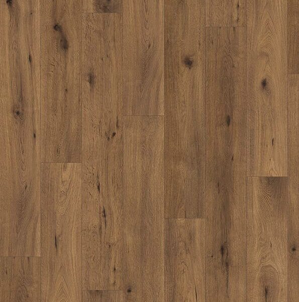 Madison City 431 NP 4846 Oak Trust