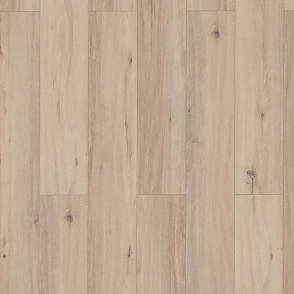Lungo Bellevue 62960