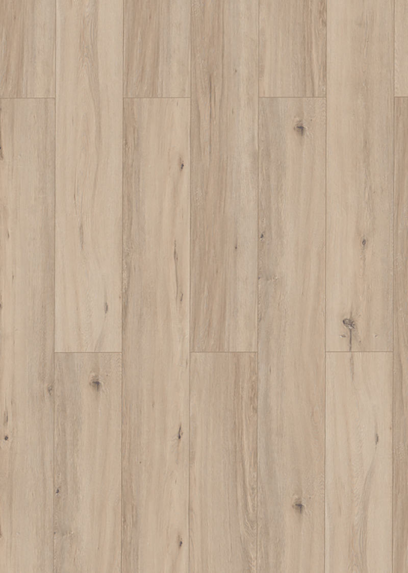Lungo Bellevue 62960
