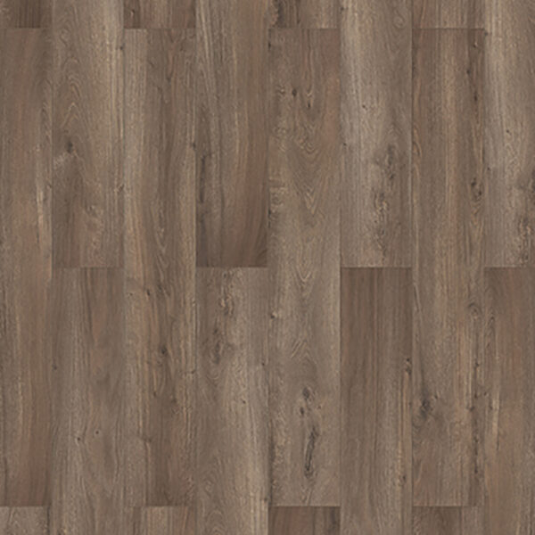 Lungo Chillon 62964