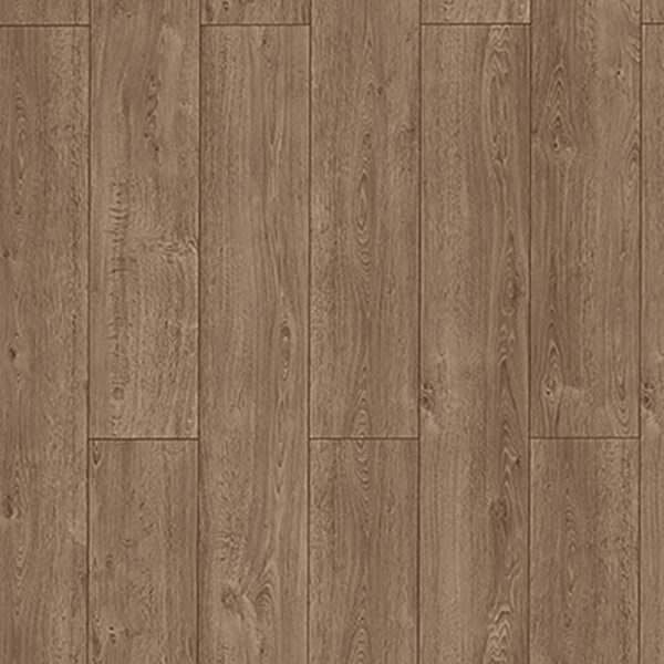 Lungo Ashford 62966