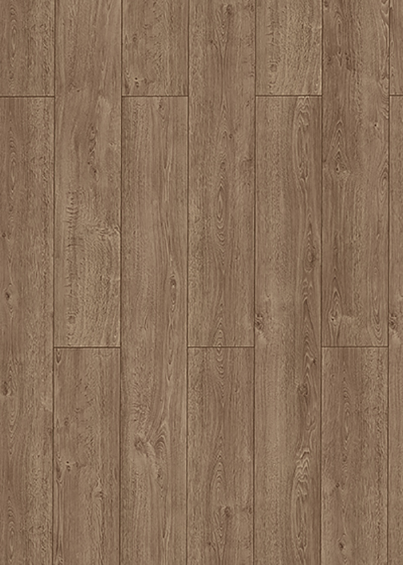 Lungo Ashford 62966