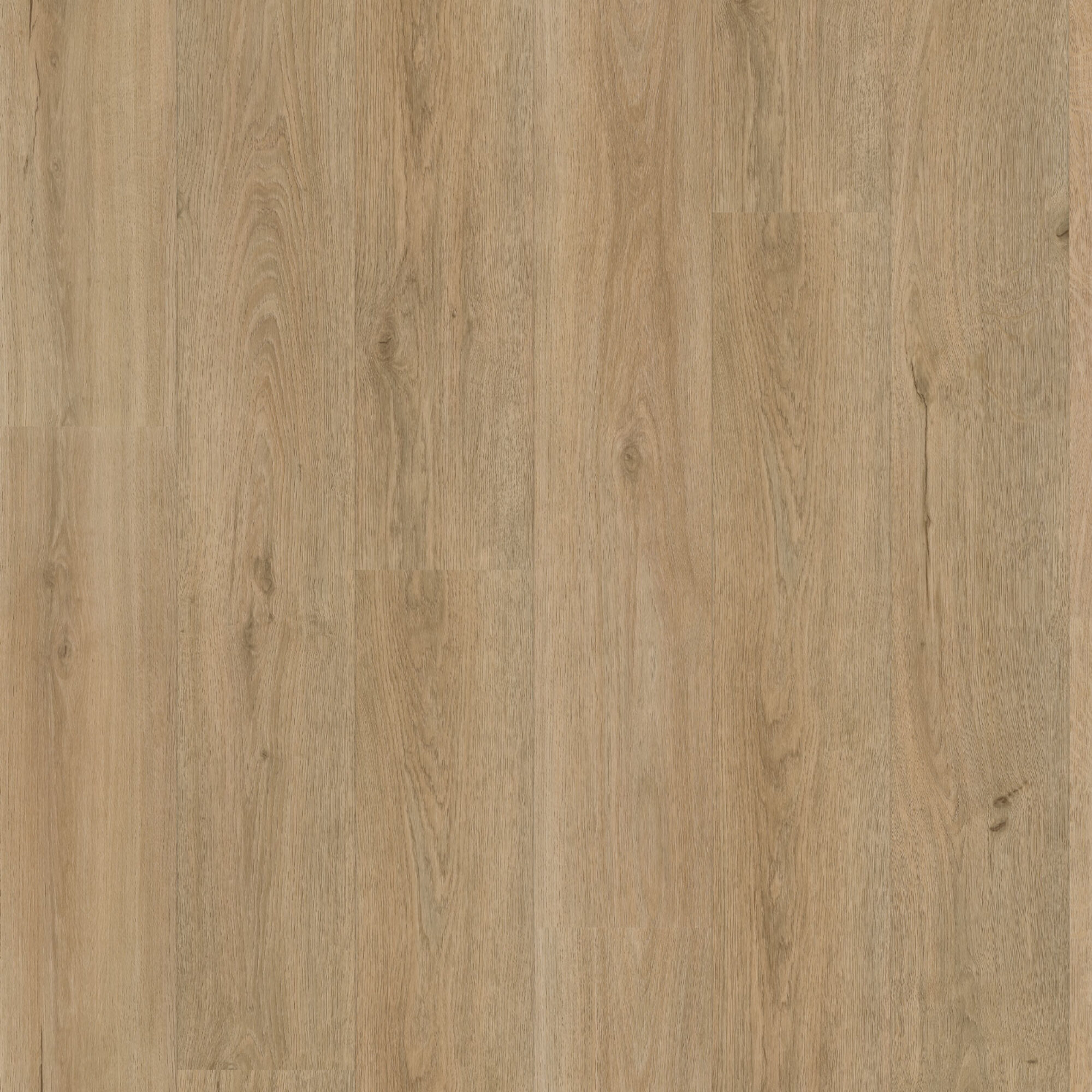 Vivafloors Eiken 7240 Click - Afbeelding 2