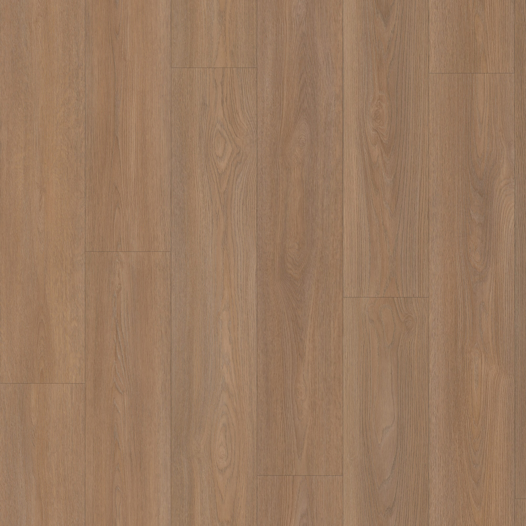 Vivafloors Eiken 8550 Click - Afbeelding 2