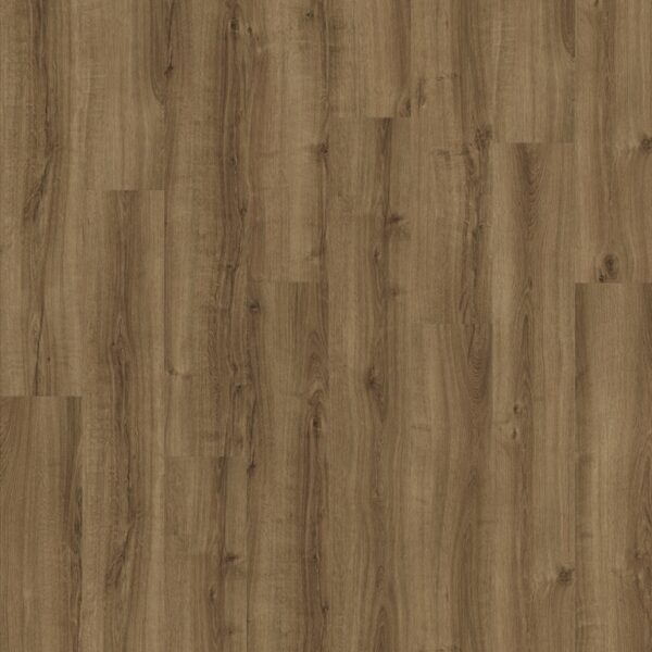 Drenthe Schoonloo Plank PVC Plak