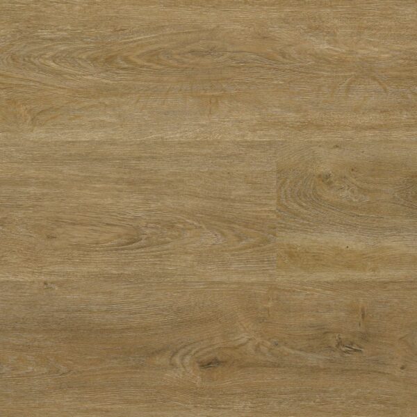 Robusto Click SRC Brown